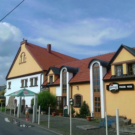 Penzion Paták Kamyk nad Vltavou Kültér fotó