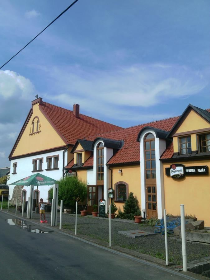 Penzion Paták Kamyk nad Vltavou Kültér fotó